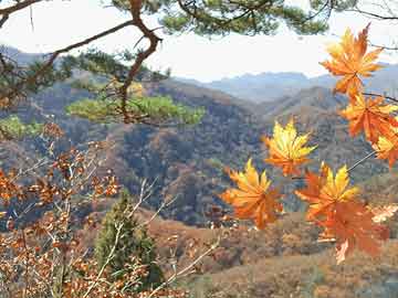 揭秘2017年贵阳房价走势，最新消息与市场洞察